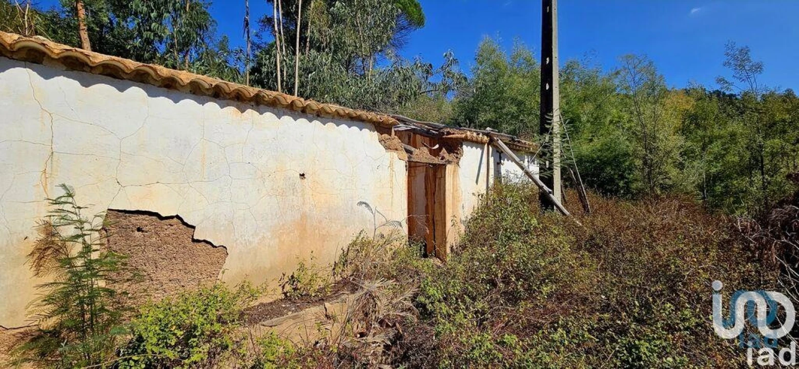 Terreno para Venda em Monchique Foto 13