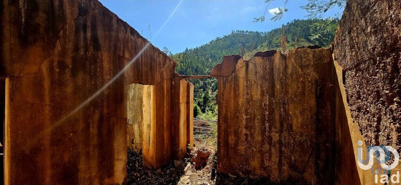 Terreno para Venda em Monchique Foto 14