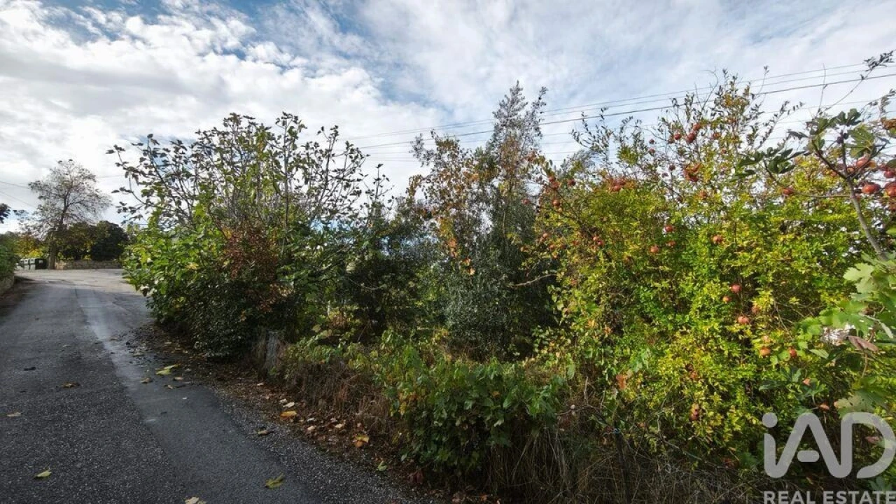 Moradia para Venda em Seixo da Beira Foto 21