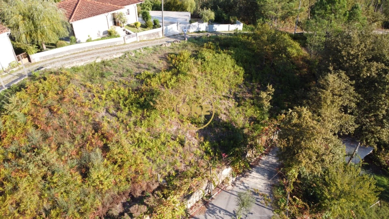 Terreno para Venda em Moimenta Foto 6