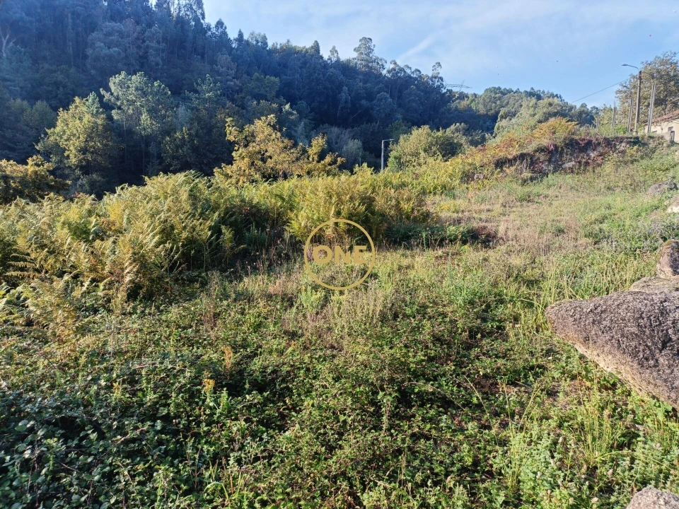 Terreno para Venda em Moimenta Foto 13