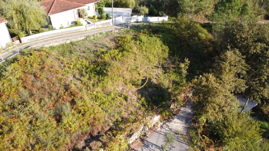 Terreno para Venda em Moimenta Foto 6