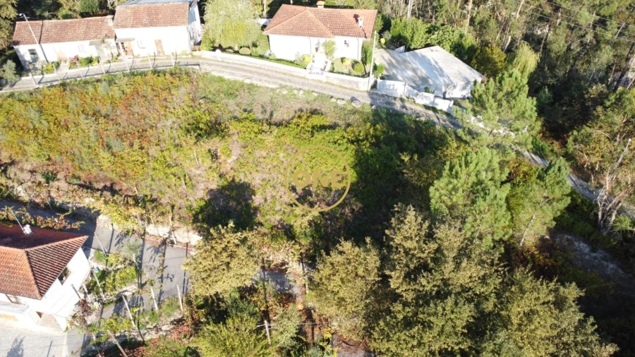 Terreno para Venda em Moimenta Foto 3