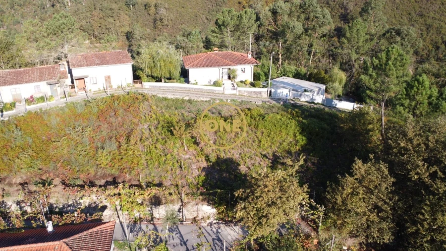 Terreno para Venda em Moimenta Foto 5