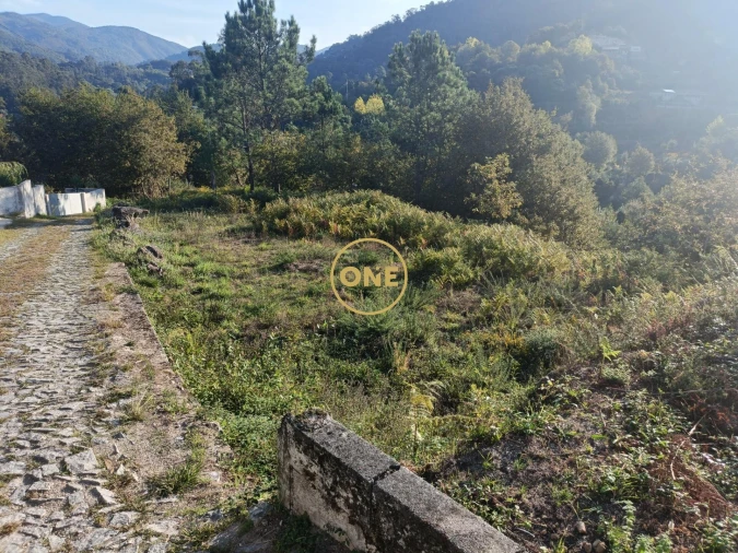 Terreno para Venda em Moimenta Foto 10