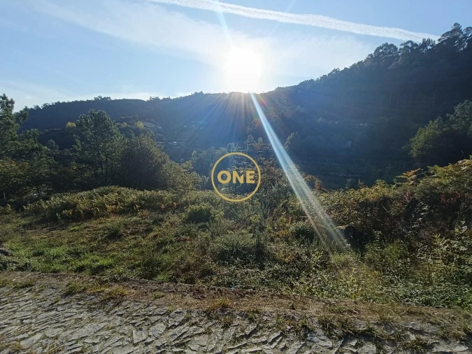 Terreno para Venda em Moimenta Foto 11