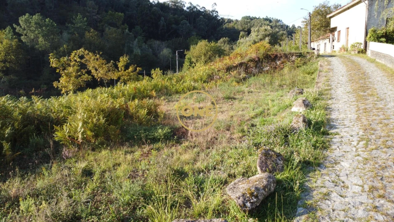 Terreno para Venda em Moimenta Foto 8