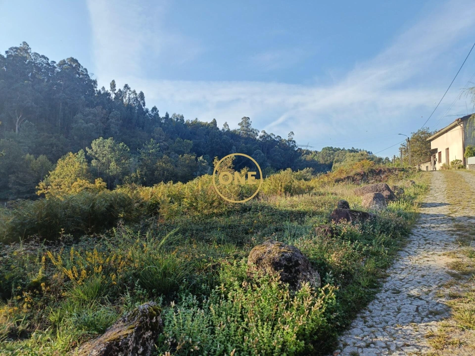 Terreno para Venda em Moimenta Foto 14