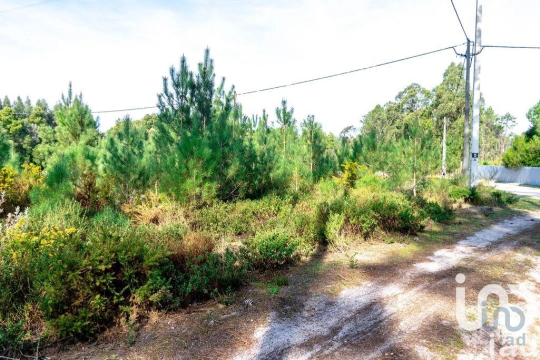 Terreno para Venda em Marinha Grande Foto 5