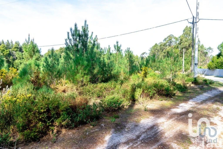 Terreno para Venda em Marinha Grande Foto 5