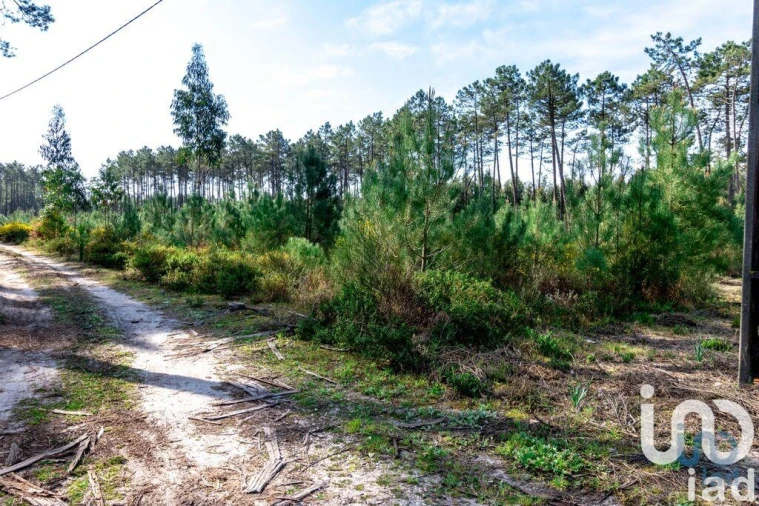 Terreno para Venda em Marinha Grande