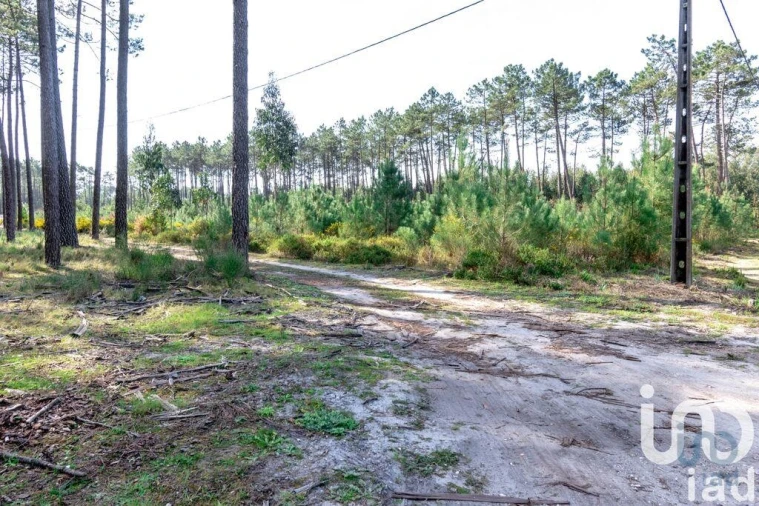 Terreno para Venda em Marinha Grande Foto 3