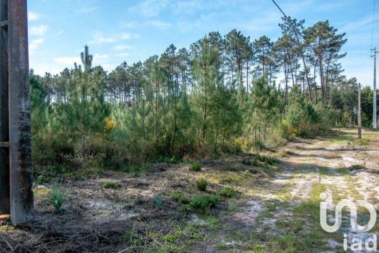 Terreno para Venda em Marinha Grande Foto 6