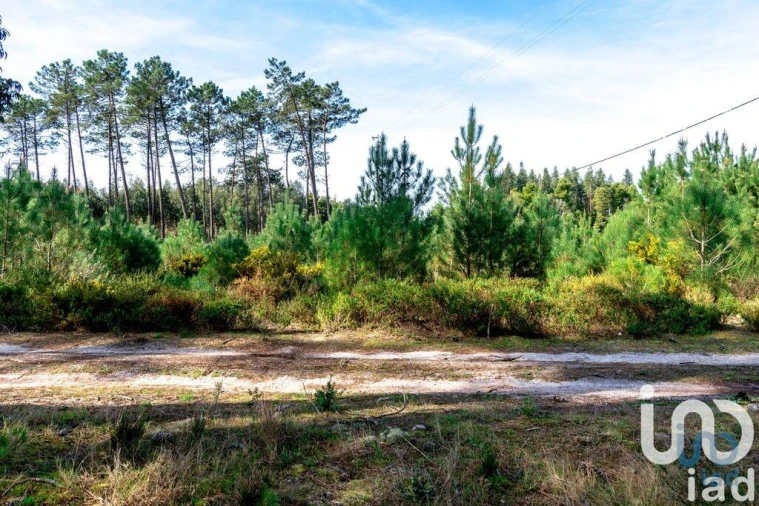 Terreno para Venda em Marinha Grande Foto 2