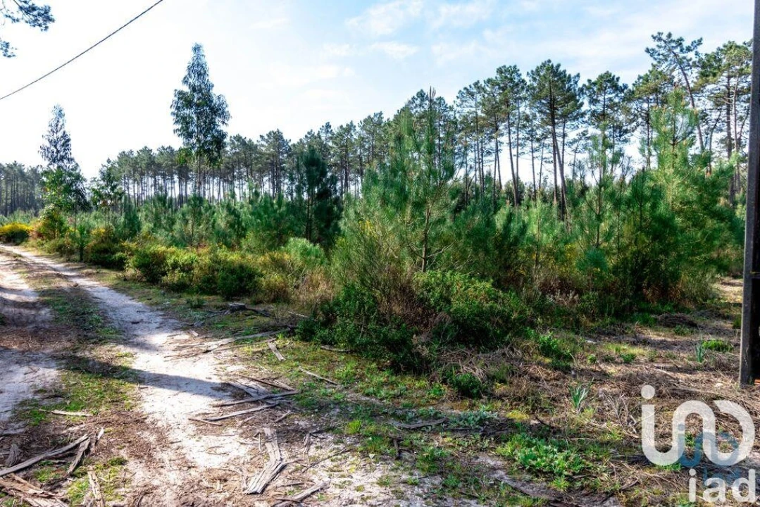 Terreno para Venda em Marinha Grande Foto 1