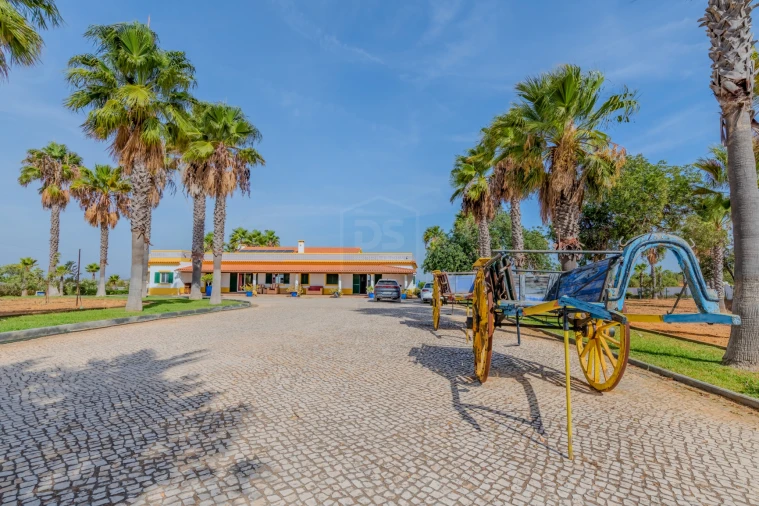 Moradia T5 para Venda em Guia Foto 55