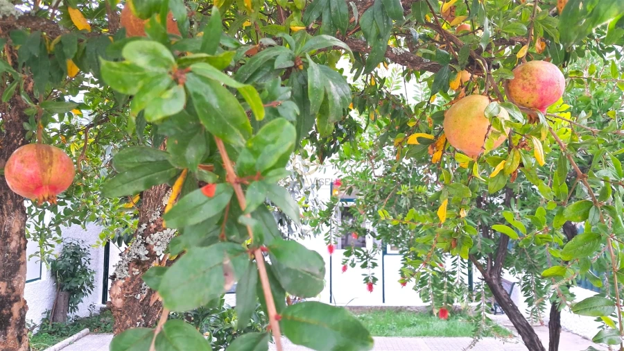 Moradia T4 para Arrendamento em Repeses e São Salvador Foto 19