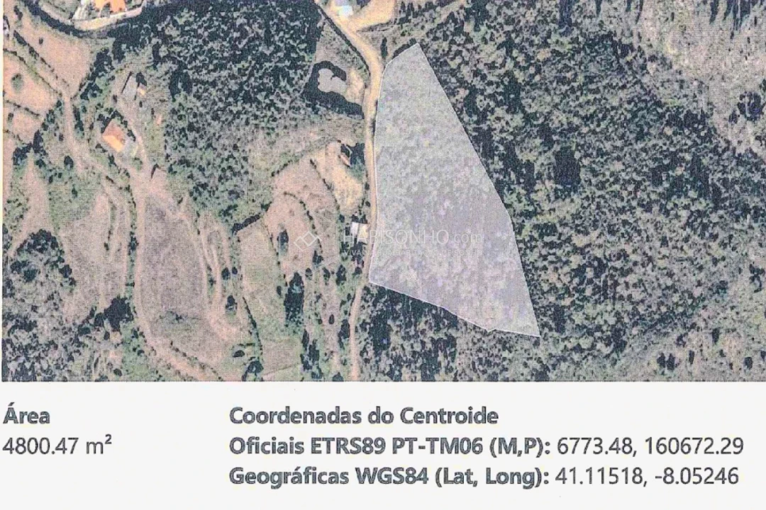 Quinta T2 para Venda em Ancede e Ribadouro Foto 4