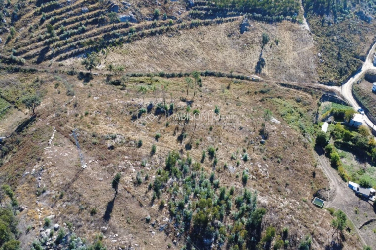 Quinta T2 para Venda em Ancede e Ribadouro Foto 12