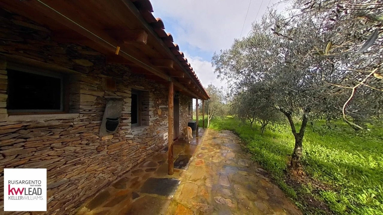Terreno para Venda em Montalvão Foto 2