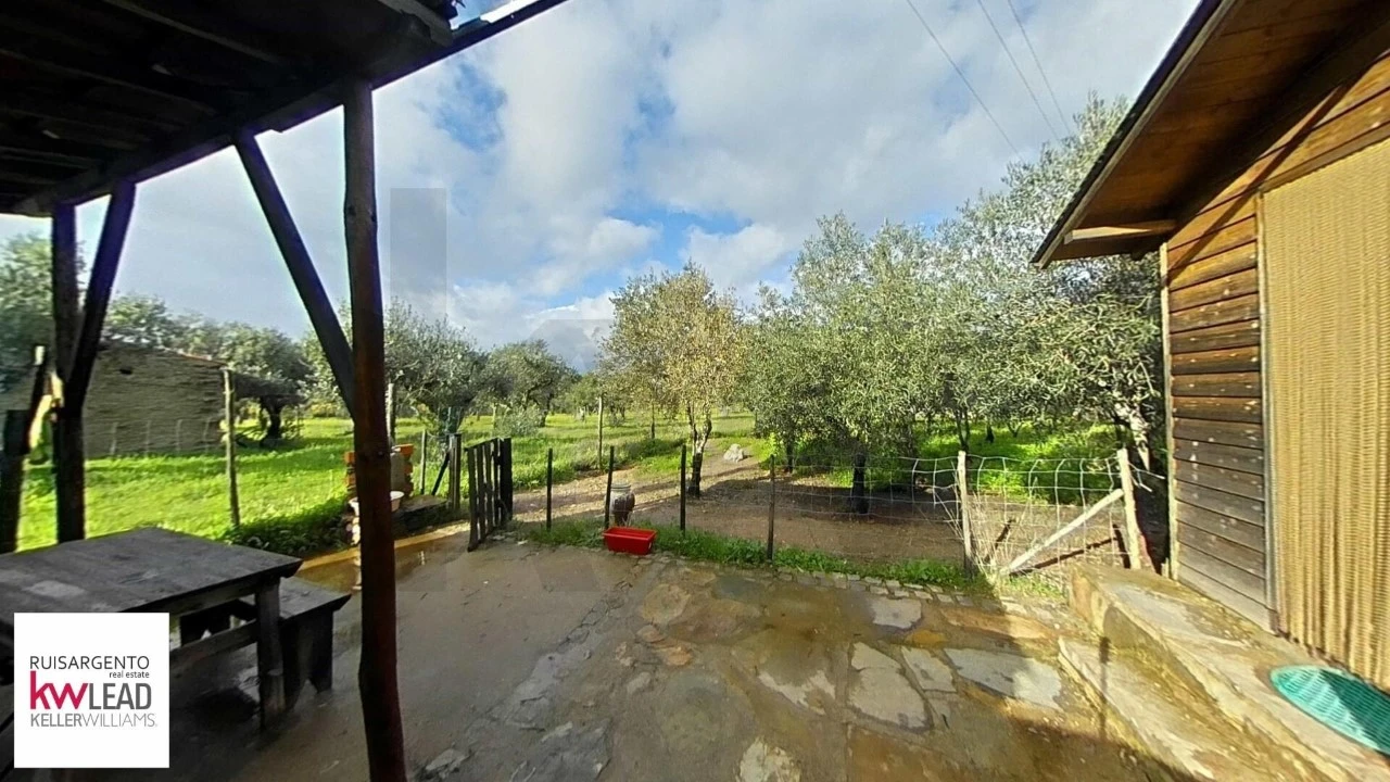 Terreno para Venda em Montalvão Foto 14