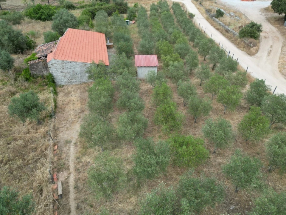 Terreno para Venda em Montalvão Foto 19