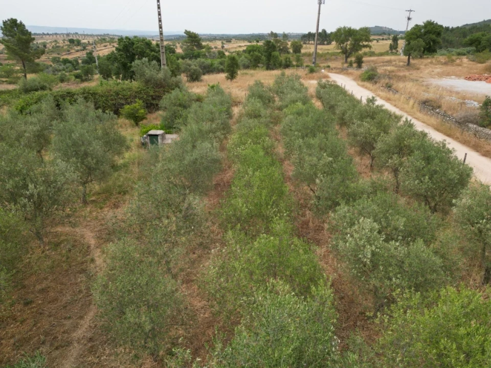 Terreno para Venda em Montalvão Foto 23