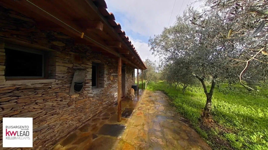 Terreno para Venda em Montalvão Foto 2