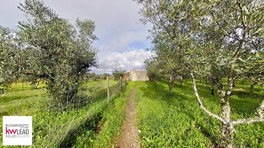 Terreno para Venda em Montalvão Foto 3