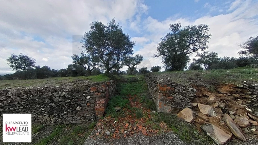 Terreno para Venda em Montalvão Foto 4