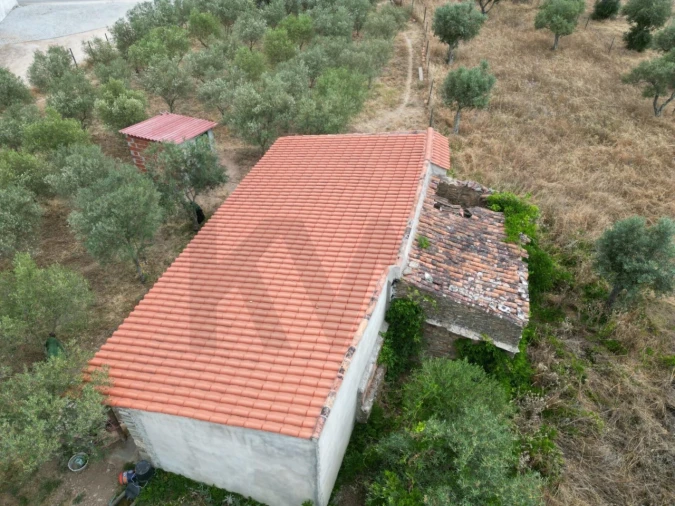 Terreno para Venda em Montalvão Foto 18