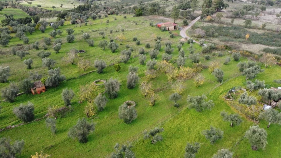 Terreno para Venda em Montalvão Foto 28