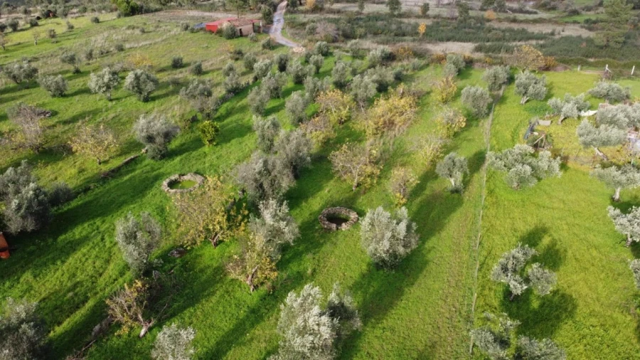 Terreno para Venda em Montalvão Foto 30