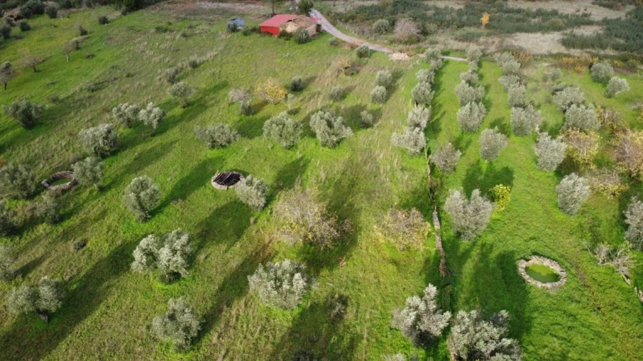 Terreno para Venda em Montalvão Foto 33