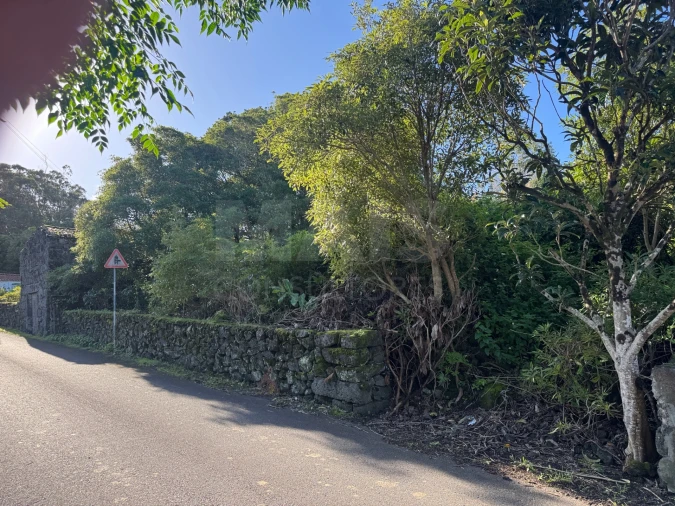 Terreno para Venda em Madalena Foto 5