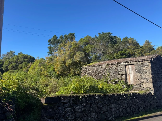 Terreno para Venda em Madalena Foto 1