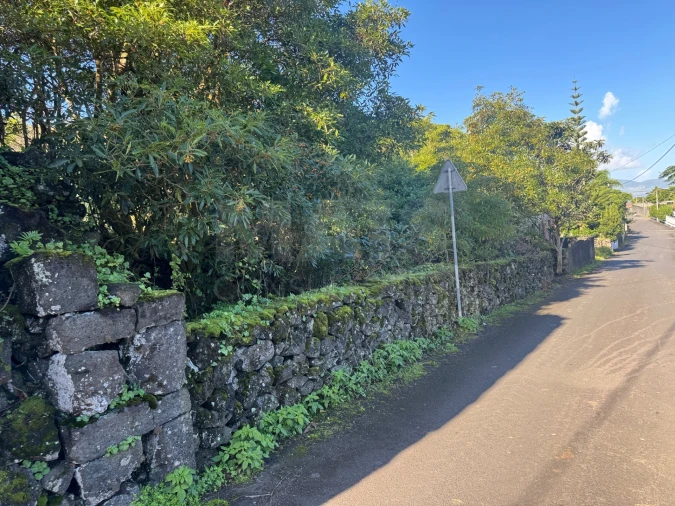 Terreno para Venda em Madalena Foto 3