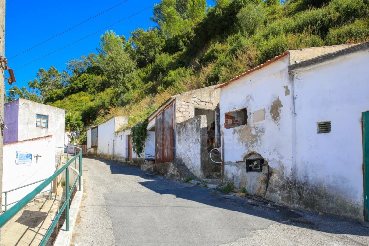 Moradia para Venda em Ribafria e Pereiro de Palhacana Foto 9