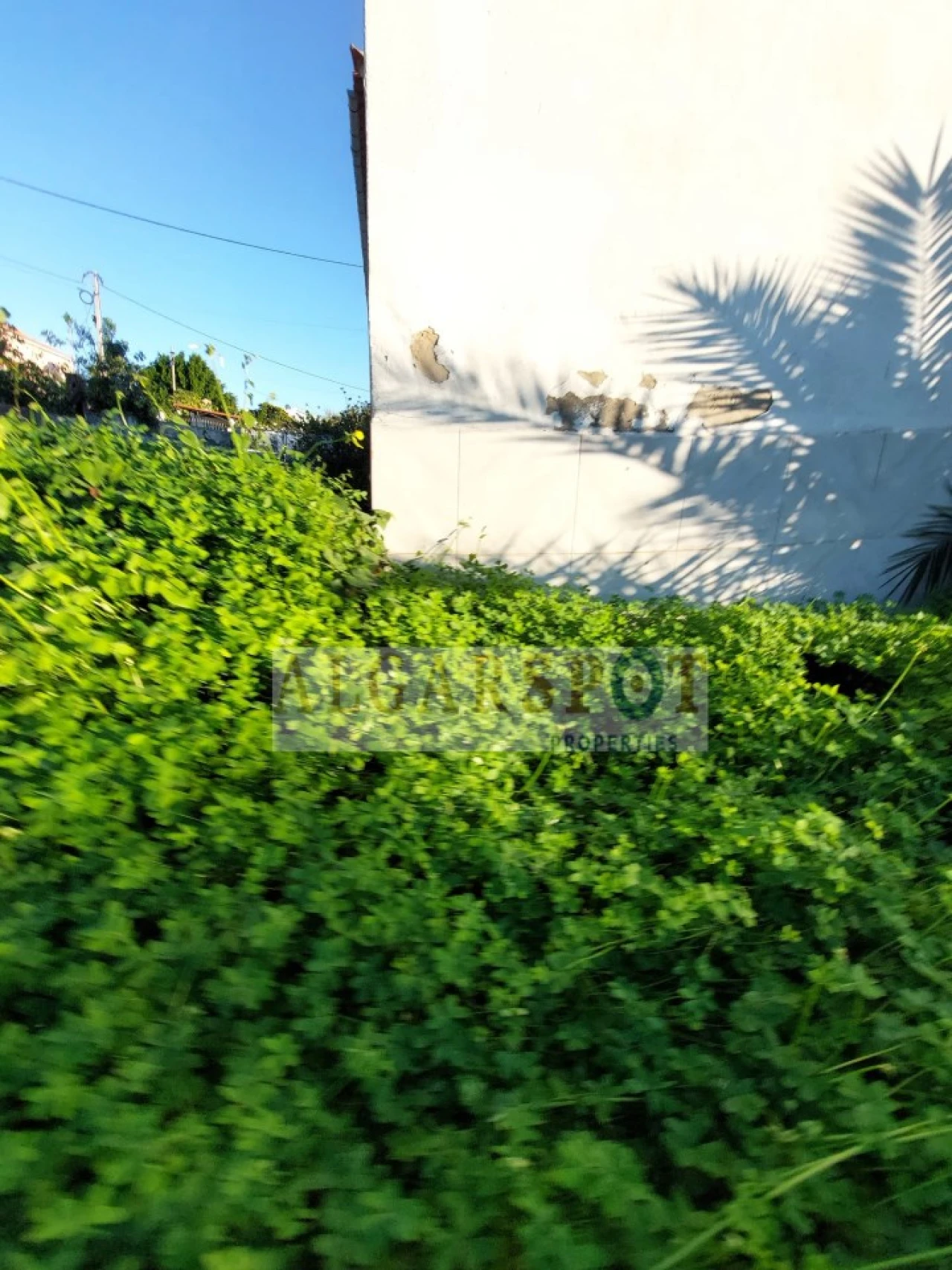 Moradia T3 para Venda em Loule (São Sebastião) Foto 9