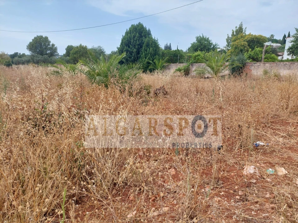 Moradia T3 para Venda em Loule (São Sebastião) Foto 14
