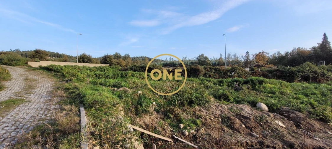 Terreno para Venda em Ruivães e Novais Foto 3
