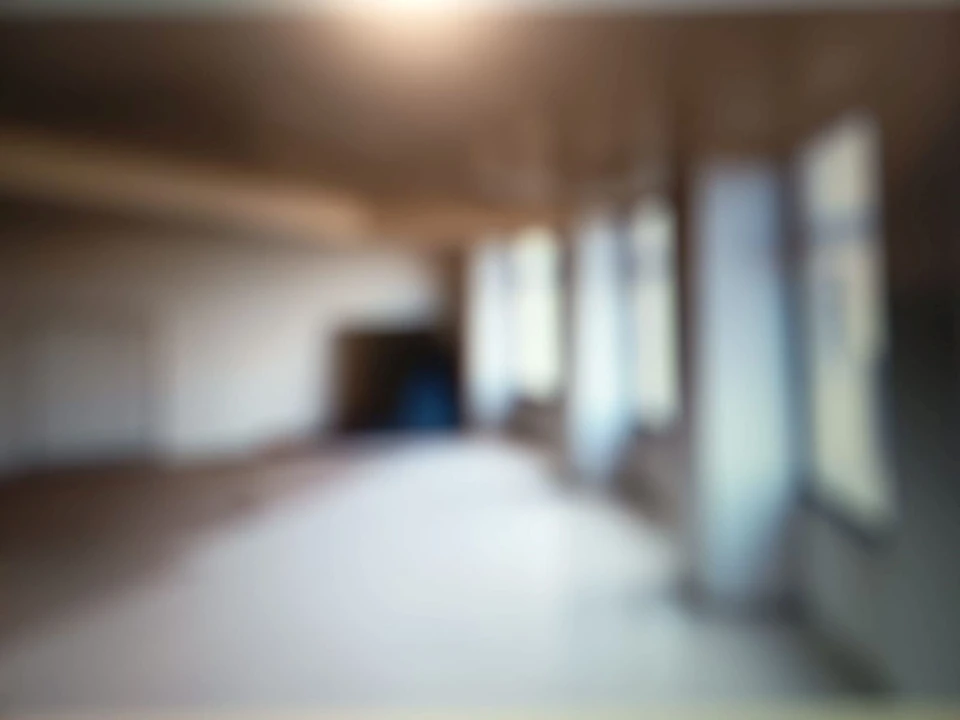 Loja para Venda em São Miguel do Rio Torto e Rossio Ao Sul do Tejo Foto 5