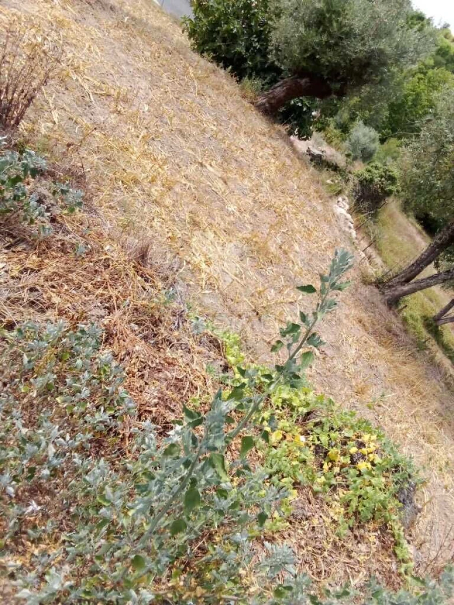 Moradia T3 para Venda em Castelo de Penalva Foto 11