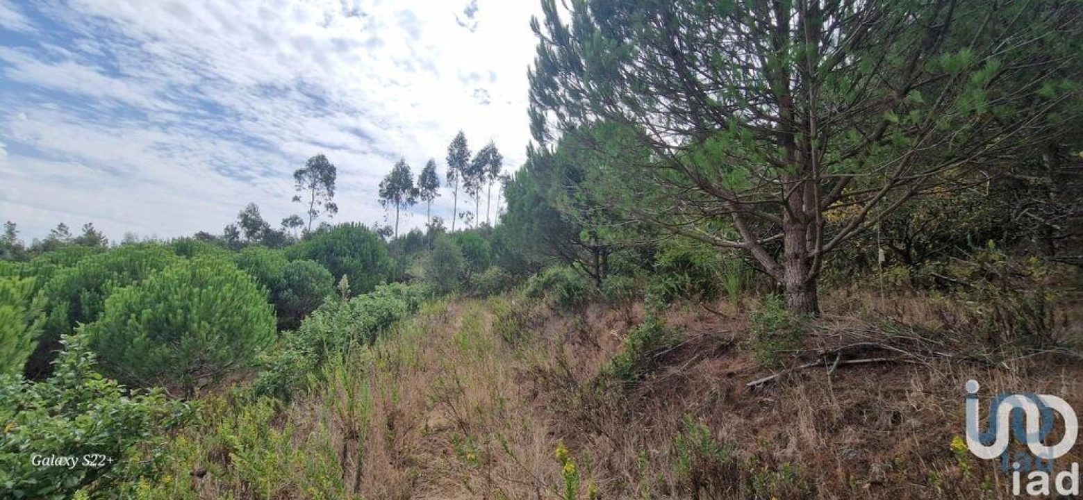 Terreno para Venda em Azueira e Sobral da Abelheira Foto 12