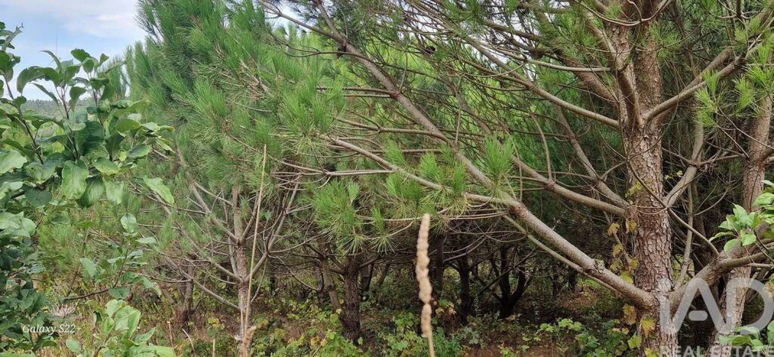 Terreno para Venda em Azueira e Sobral da Abelheira Foto 8