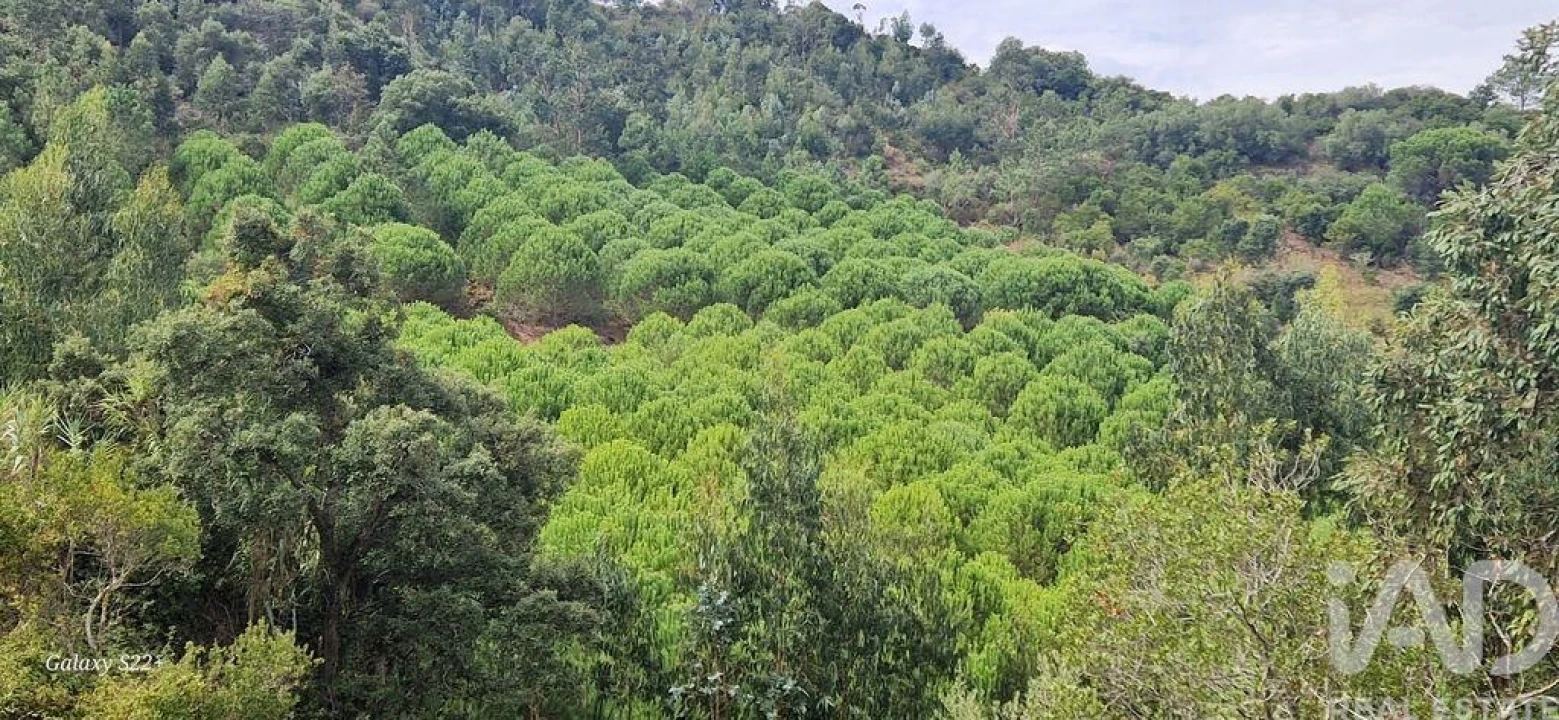 Terreno para Venda em Azueira e Sobral da Abelheira Foto 21