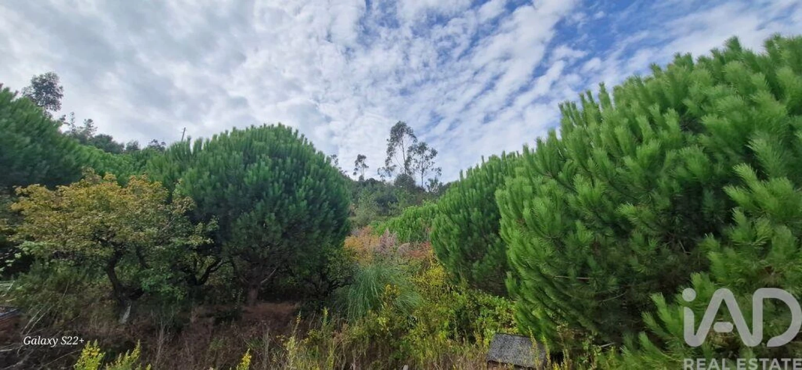 Terreno para Venda em Azueira e Sobral da Abelheira Foto 16