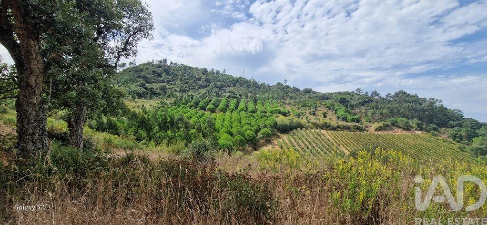 Terreno para Venda em Azueira e Sobral da Abelheira Foto 3