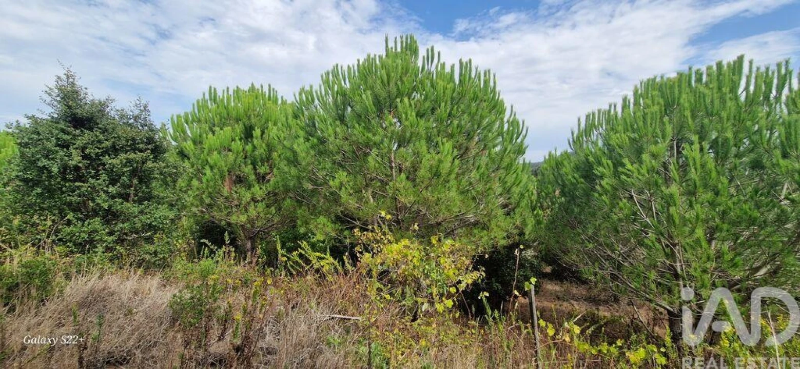 Terreno para Venda em Azueira e Sobral da Abelheira Foto 5