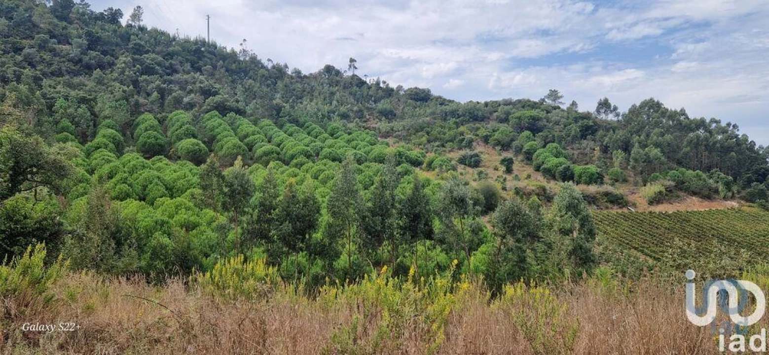 Terreno para Venda em Azueira e Sobral da Abelheira Foto 10